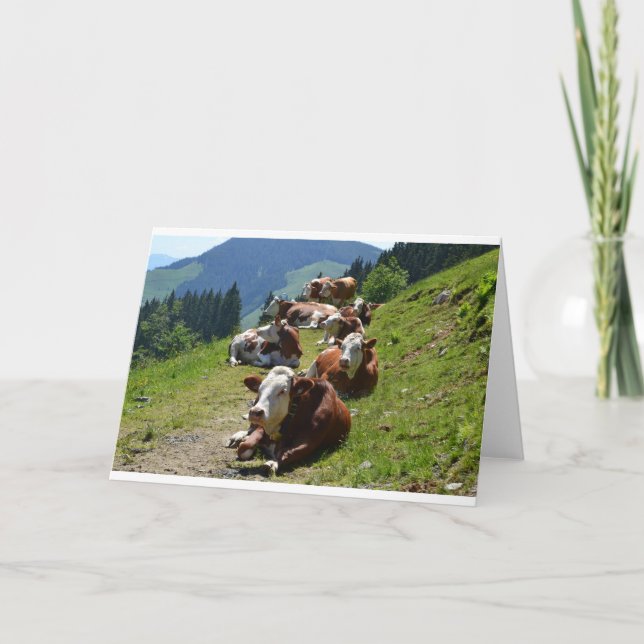Happy Birthday Card Gruppe Kühe Karte (Vorderseite)