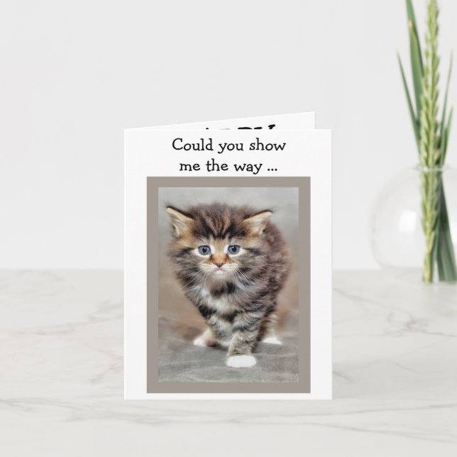 Happy Birthday Card: Lost Kitten Karte (Vorderseite)