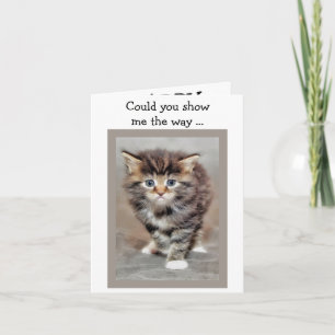 Happy Birthday Card: Lost Kitten Karte