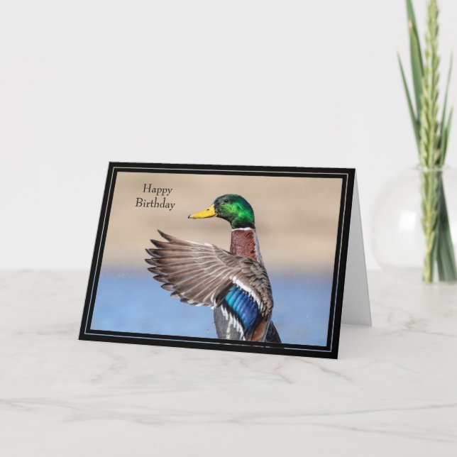 Happy Birthday Card Mallard Duck Karte (Vorderseite)