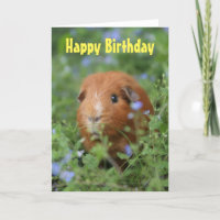 Happy Birthday Card niedlich Ingwer Guinea Schwein