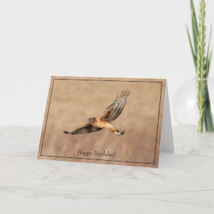 Happy Birthday Card Northern Harrier Hawk Karte