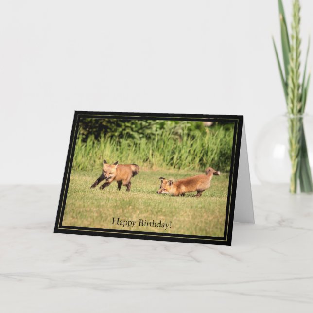 Happy Birthday Card Red Fox Kits Karte (Vorderseite)
