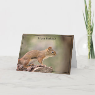 Happy Birthday Card Red Squirrel Karte