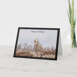 Happy Birthday Card Snowy Owl Karte