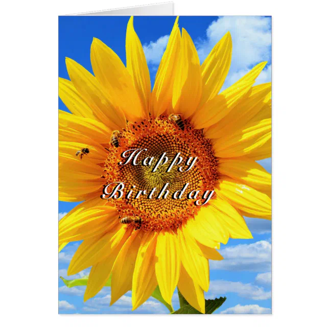 Wee Blue Coo Grußkarte ‚Lebendige Sonnenblume‘, 17,5x12,5 Cm – Hochwertig & Personalisierbar
