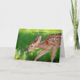 Happy Birthday Card Weiße Schwänzchen Hirschtier Karte
