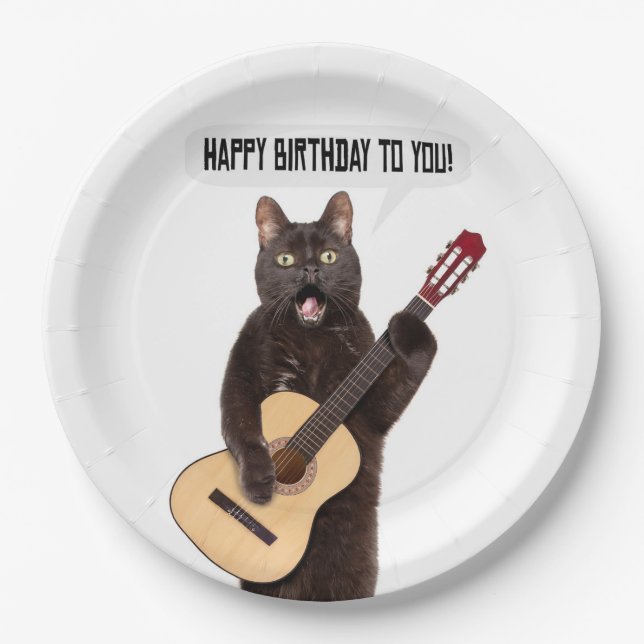 Happy Birthday Cat Gesang und Gitarre spielen  Pappteller (Vorderseite)
