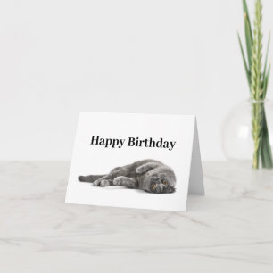Happy Birthday Cat Lover Card Karte