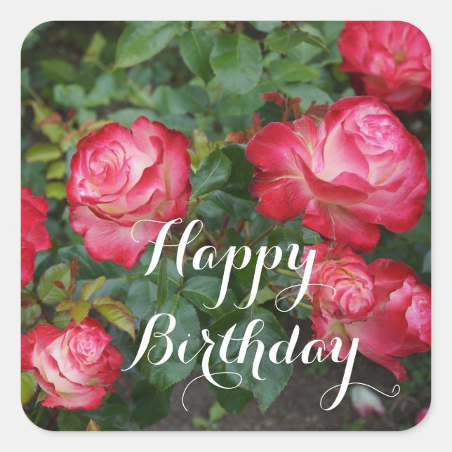 Happy Birthday Cherry Parfait Rose #5-1 Stickers (Vorderseite)