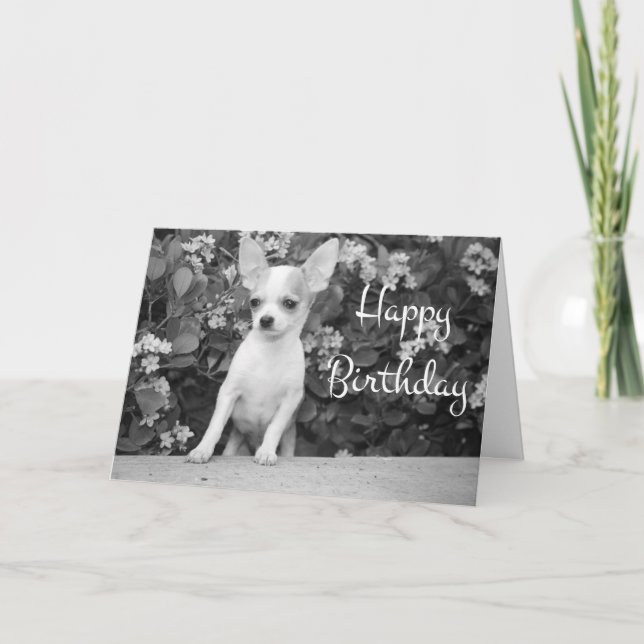 Happy Birthday Chihuahua Puppy Dog Grußkarte Karte (Vorderseite)