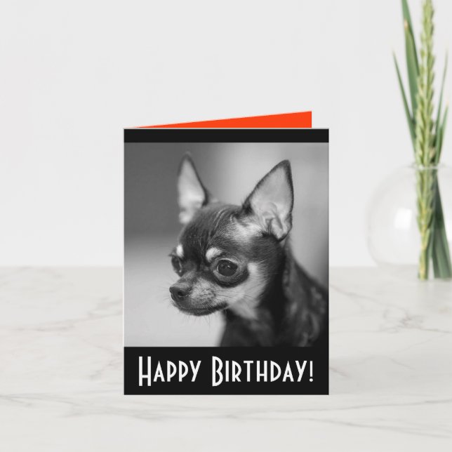 Happy Birthday Chihuahua Puppy Dog Grußkarte Karte (Vorderseite)