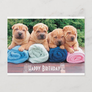 Happy Birthday Chinese Shar Pei Puppy Dog Postkart Postkarte