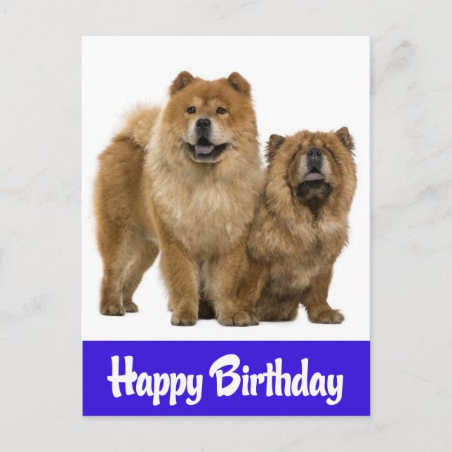 Happy Birthday Chow Chow Welpe Hund Postkarte (Vorderseite)