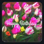 Happy Birthday Christmas Dream and Affaire #1-1 Quadratischer Aufkleber<br><div class="desc">Tulips Christmas Dream und Affaire #1</div>