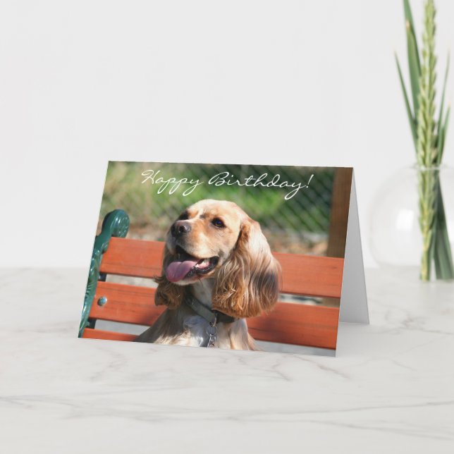 Happy Birthday Cocker Spaniel Grußkarte Karte (Vorderseite)