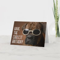 Happy Birthday | Cooler Sonnenbrille Hund