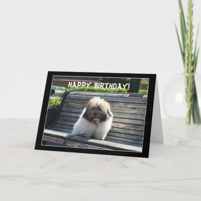 Happy Birthday Coton de Tulear Puppy Grußkarte Karte (Vorderseite)