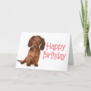 Happy Birthday Dackel Puppy Dog Card Karte