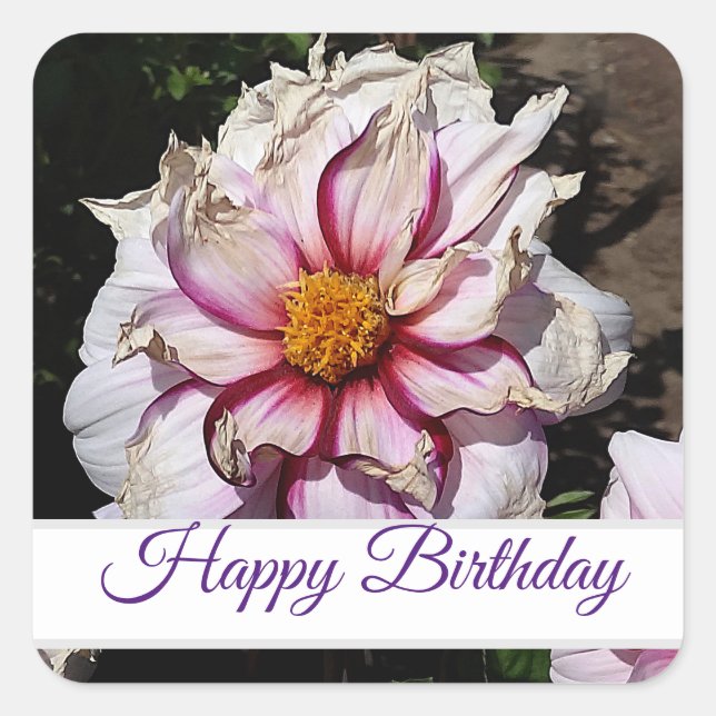 Happy Birthday Dahlia Edge of Joy #1 Stickers (Vorderseite)