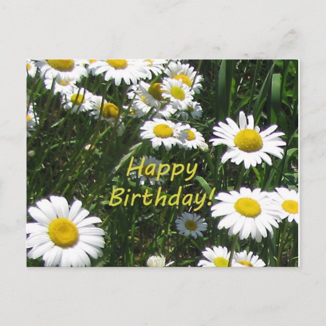 Happy Birthday Daisies Postkarte (Vorderseite)