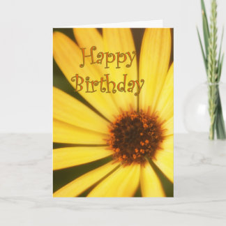 Happy Birthday Daisy Karte