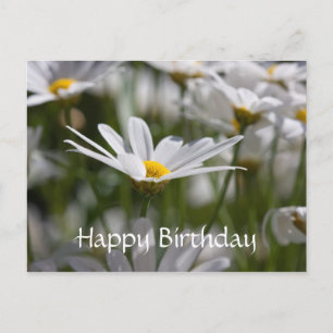 Happy Birthday Daisy Postcard Postkarte