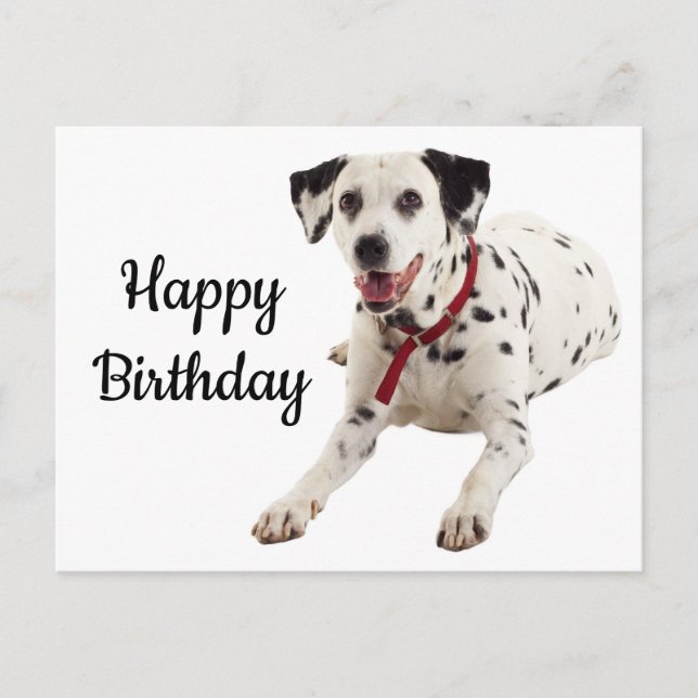 Happy Birthday Dalmatiner Puppy Dog Lover Postkarte (Vorderseite)