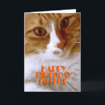 Happy Birthday Daughter Sweet Cat Karte<br><div class="desc">Wünschen Sie Ihrer Tochter einen "Happy Birthday",  mit dieser niedlichen Karte aus meiner "Kitty Koolness" Kollektion,  die ein hübsches orange-weißes Kätzchen enthält. Das Innere kann behalten werden,  wie es ist,  oder von Ihnen für diese zusätzliche Touch personalisiert werden. Foto nach Designer.</div>
