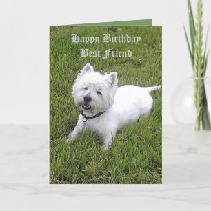 Happy Birthday Dear Friend Karte