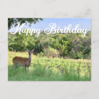 Happy Birthday Deer Fotografie Schöne Natur