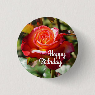 Happy Birthday Dream Come True Rose #2-2 Schaltflä Button