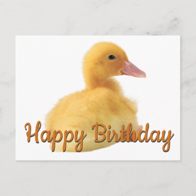 Happy Birthday Duckling Postkarte (Vorderseite)