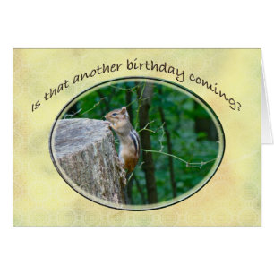Happy Birthday - Eastern Chipmunk