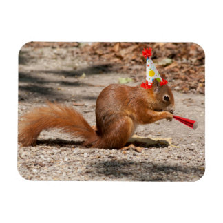 Happy Birthday Eichhörnchen Magnet