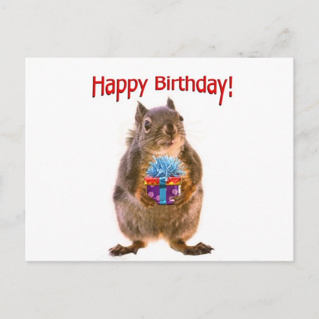 Happy Birthday Eichhörnchen mit Gegenwart Postkarte (Vorderseite)