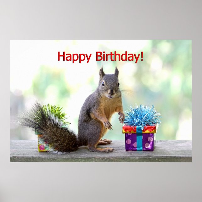 Happy Birthday Eichhörnchen Poster (Vorne)