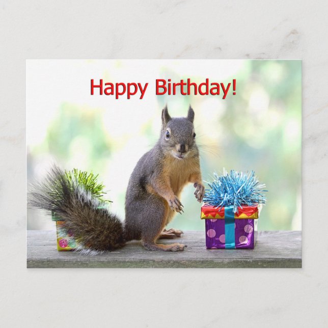 Happy Birthday Eichhörnchen Postkarte (Vorderseite)