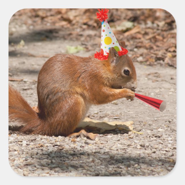 Happy Birthday Eichhörnchen Quadratischer Aufkleber (Vorderseite)