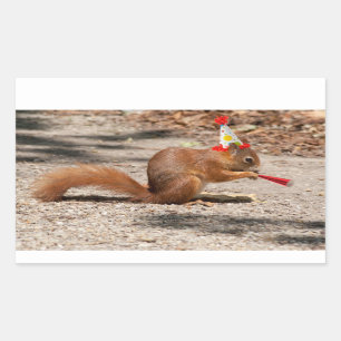 Happy Birthday Eichhörnchen Rechteckiger Aufkleber