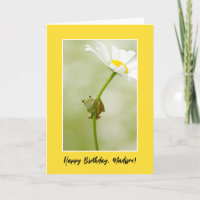 Happy Birthday | Ein Niedlicher Frosch
