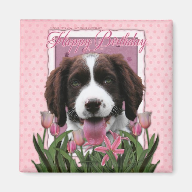 Happy Birthday - English Springer Spaniel - Baxter Magnet (Vorne)