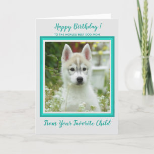 Happy Birthday - Foto für Haustiere - Welten Beste Karte