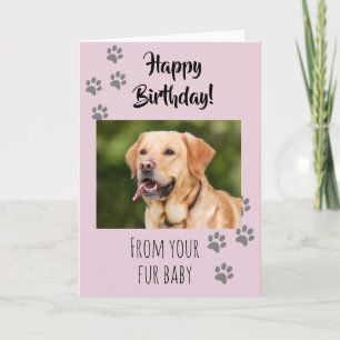 Happy Birthday Foto Hund Katze Haustier Fellbaby Karte
