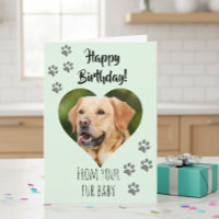 Happy Birthday Foto Hund Katze Pet Fur Baby