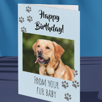 Happy Birthday Foto Hund Katze Pet Fur Baby