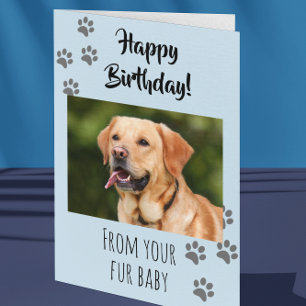 Happy Birthday Foto Hund Katze Pet Fur Baby Karte