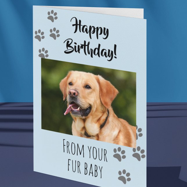 Happy Birthday Foto Hund Katze Pet Fur Baby Karte (Von Creator hochgeladen)