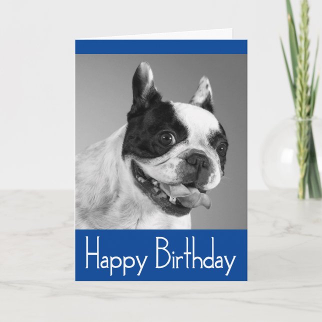 Happy Birthday French Bulldog Puppy Card - Verse Karte (Vorderseite)