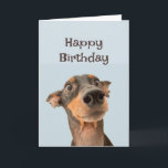 Happy Birthday Friend Funny Dog Grumpy Old Man Karte<br><div class="desc">Glücklicher Geburtstag Grumpy Alter Mann niedlich traumatisiert aussehender Hund</div>